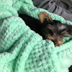 Meet your Posher, Stacy